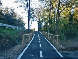2015-11-03 08.04.58.jpg